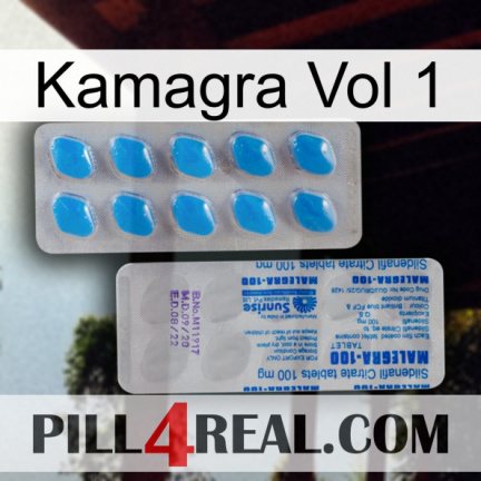 Kamagra Vol 1 new15